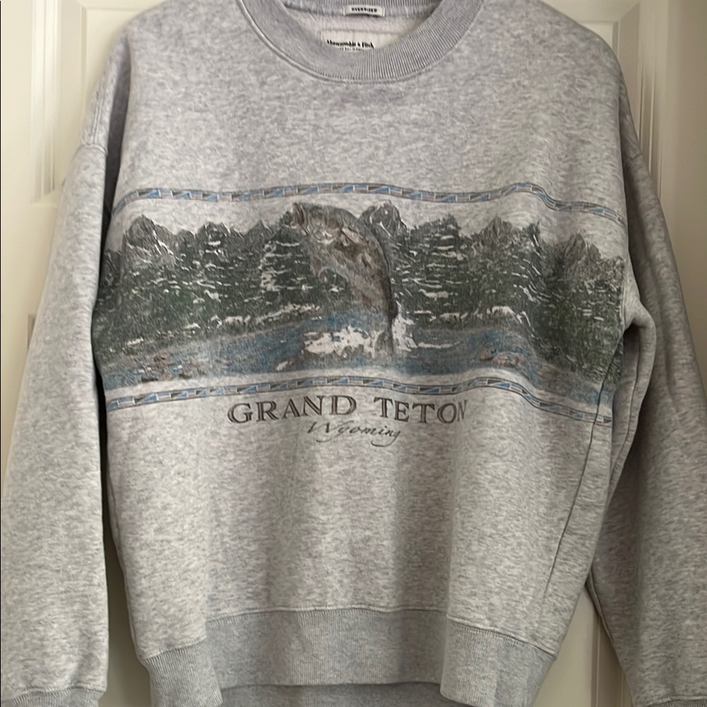 Abercrombie & Fitch Gray Crewneck Sweater